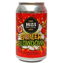 1623 Brewing - Boiler Blowdown Sour ALE (6 pack 12oz cans) (6 pack 12oz cans)