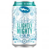Dogfish Head Brewery - Slightly Mighty (62)